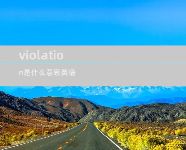 violation是什么意思英语
