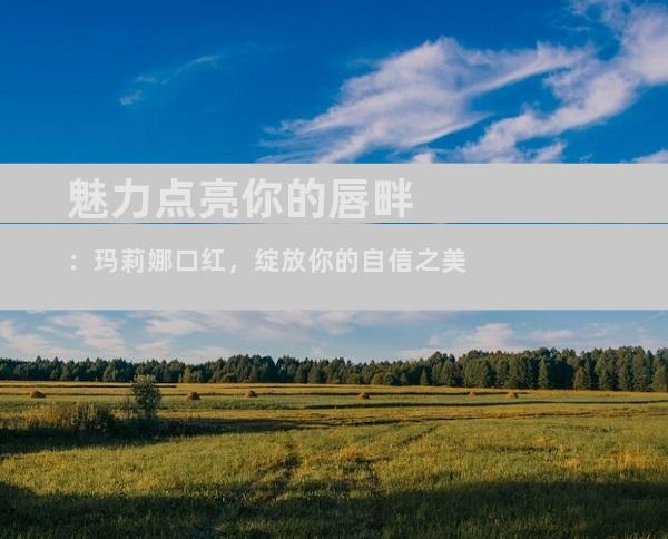 魅力点亮你的唇畔：玛莉娜口红，绽放你的自信之美