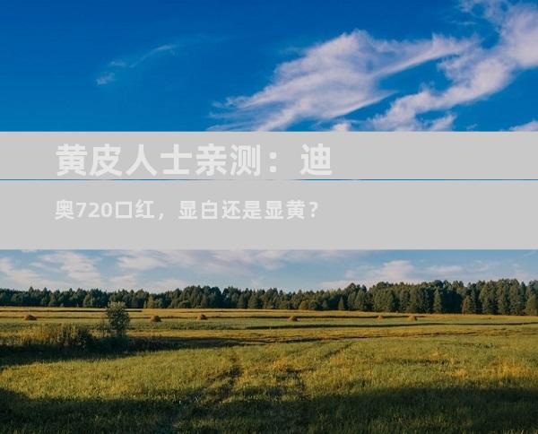 黄皮人士亲测：迪奥720口红，显白还是显黄？