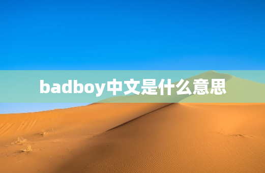 badboy中文是什么意思